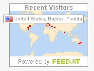 feedjit-1.PNG