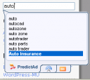 predictads-22.PNG